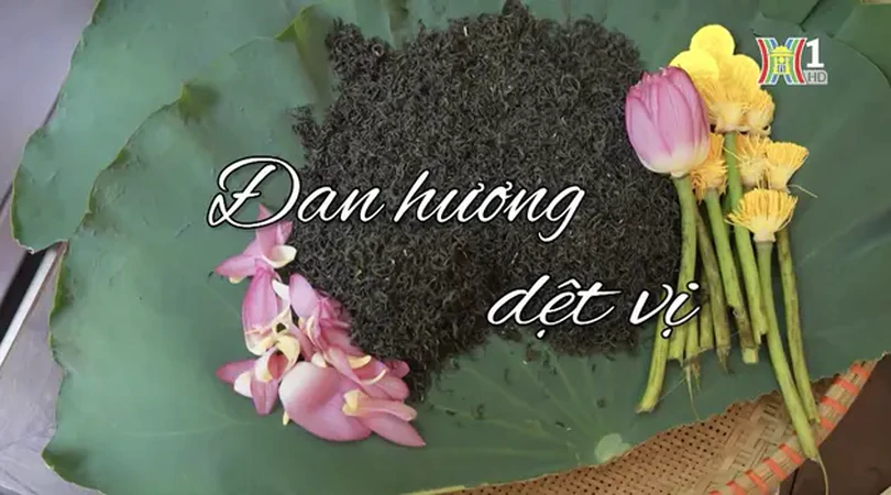 Đan hương dệt vị trà sen Tây Hồ