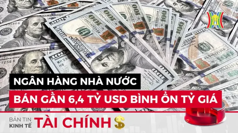 Bản tin Kinh tế Tài chính | 08/07/2024