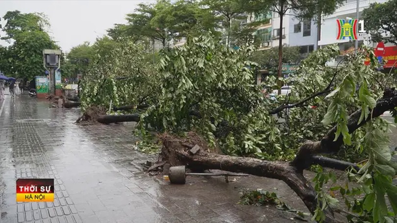 Nhiều lực lượng tham gia khắc phục hậu quả sau bão