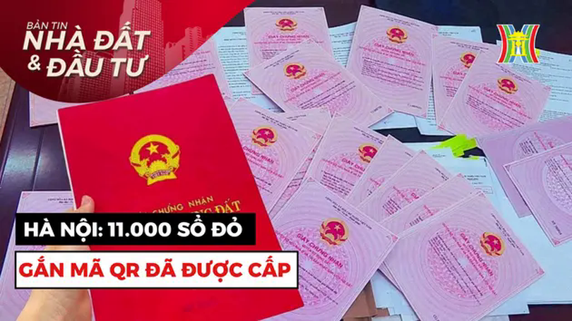 Bản tin Nhà đất và đầu tư | 09/02/2025