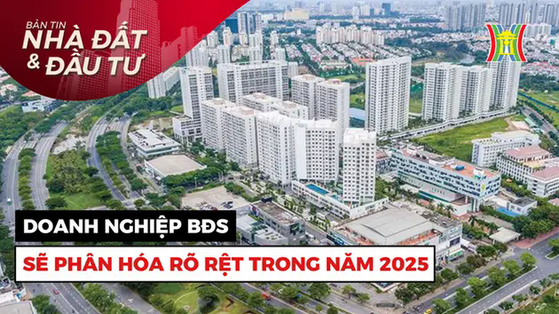 Bản tin Nhà đất và đầu tư | 09/03/2025