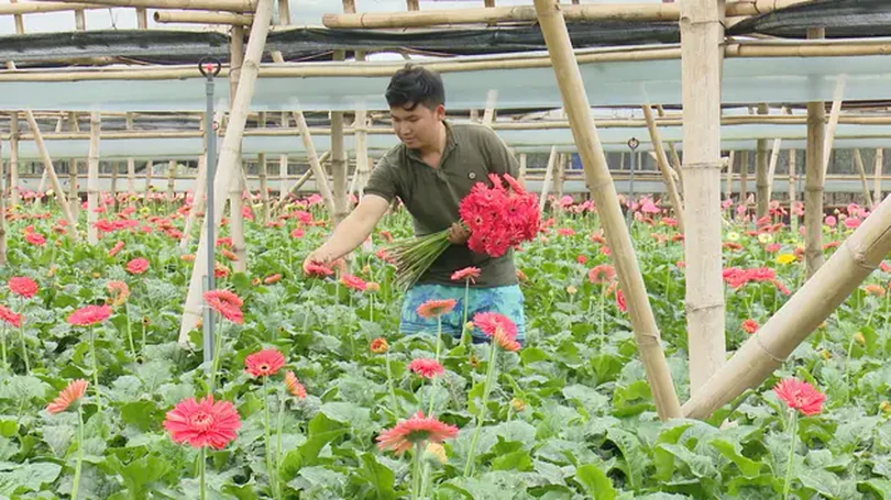 Hà Nội công nhận 25 xã đạt chuẩn NTM kiểu mẫu