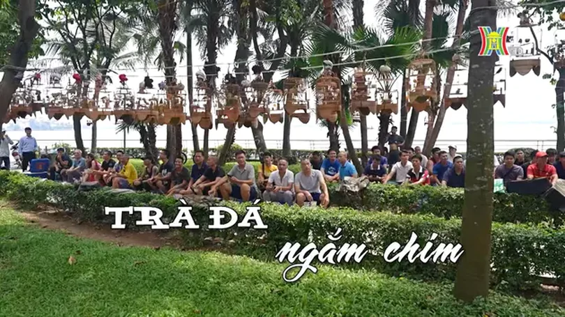 Trà đá ngắm chim | Nhịp sống Hà Nội | 09/06/2024