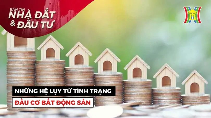 Bản tin Nhà đất và đầu tư | 09/06/2024