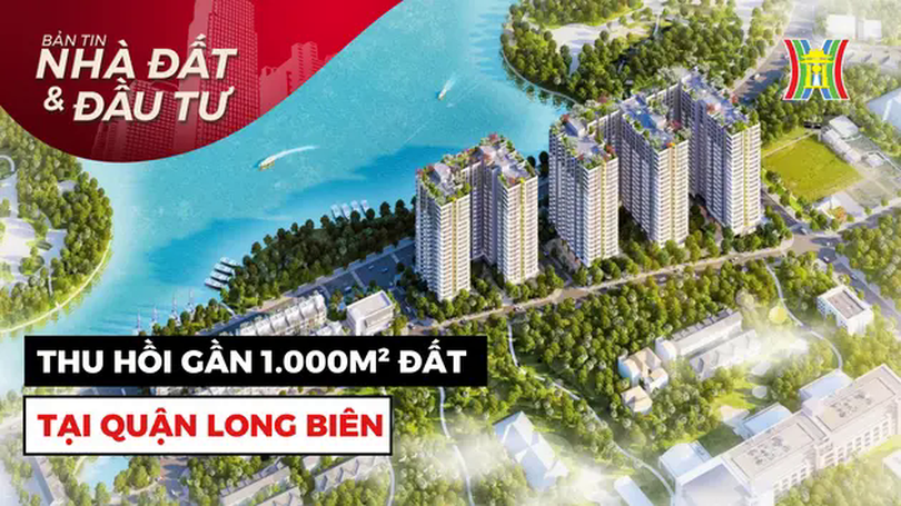 Bản tin Nhà đất và đầu tư | 10/02/2025