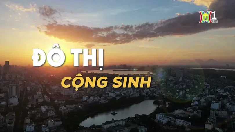 Đô thị cộng sinh | Phóng sự tài liệu | 11/06/2024