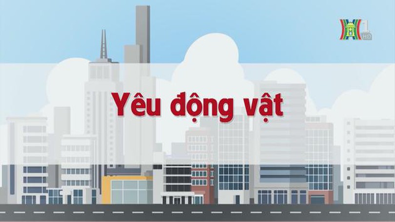 Yêu động vật | Chuyện quanh ta | tập 226 | 10/11/2023