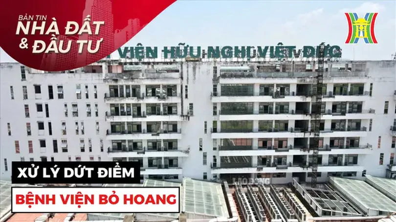 Bản tin Nhà đất và đầu tư | 10/11/2024