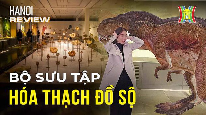 Khám phá thế giới cổ đại ngay tại Hà Nội | Hà Nội Reviews | 09/12/2023