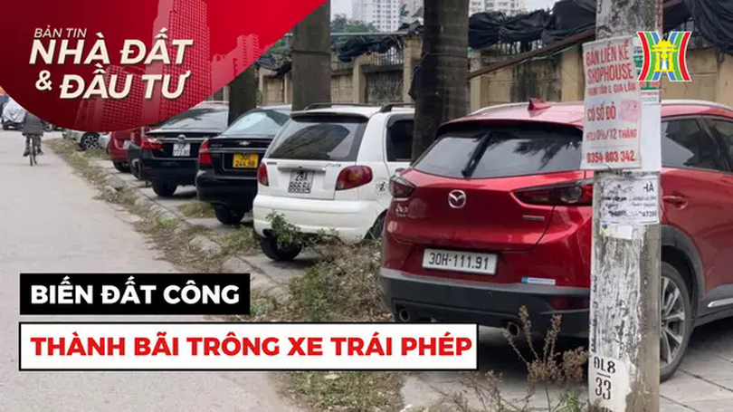 Bản tin Nhà đất và đầu tư | 11/02/2025