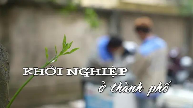 Khởi nghiệp ở thành phố | Nhịp sống Hà Nội | 11/03/2025