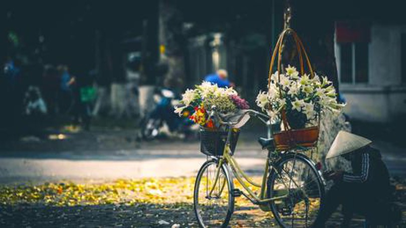 Hoa loa kèn - Hoa của tháng Tư