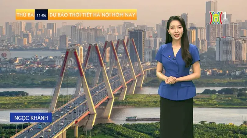 Dự báo thời tiết | 11/06/2024
