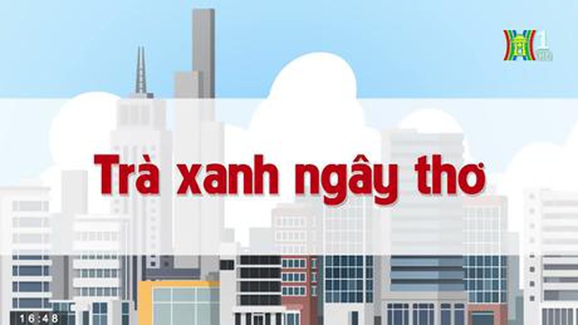 Trà xanh ngây thơ | Chuyện quanh ta | Tập 77 | 10/08/2023