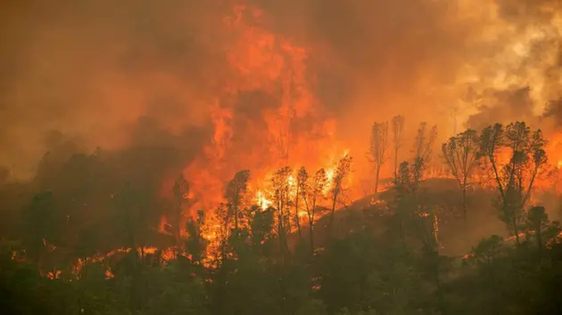 Mỹ mở cuộc điều tra nguyên nhân cháy rừng ở California