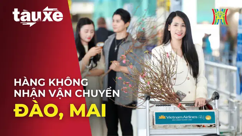 Hàng không Việt nhận vận chuyển ký gửi đào, mai | Bản tin Tàu và Xe | 12/01/2025