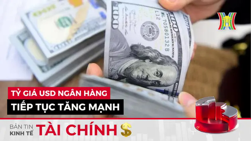 Bản tin Kinh tế Tài chính | 12/02/2025