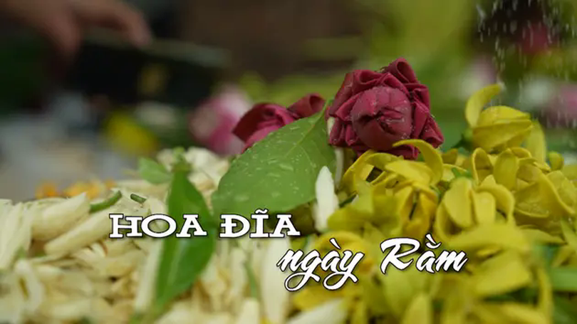 Hoa đĩa ngày rằm | Nhịp sống Hà Nội | 12/05/2025