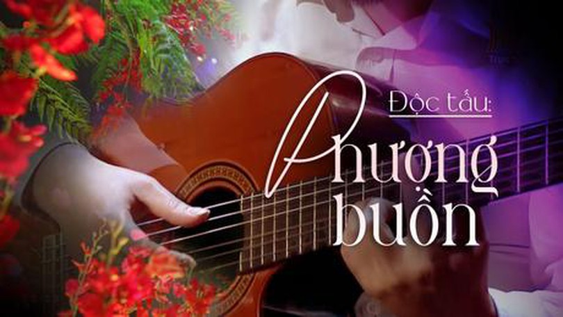 Độc tấu: Phượng buồn