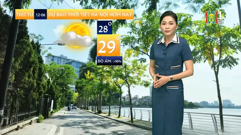 Dự báo thời tiết | 12/06/2024