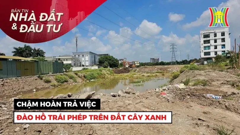 Bản tin Nhà đất và đầu tư | 12/07/2024