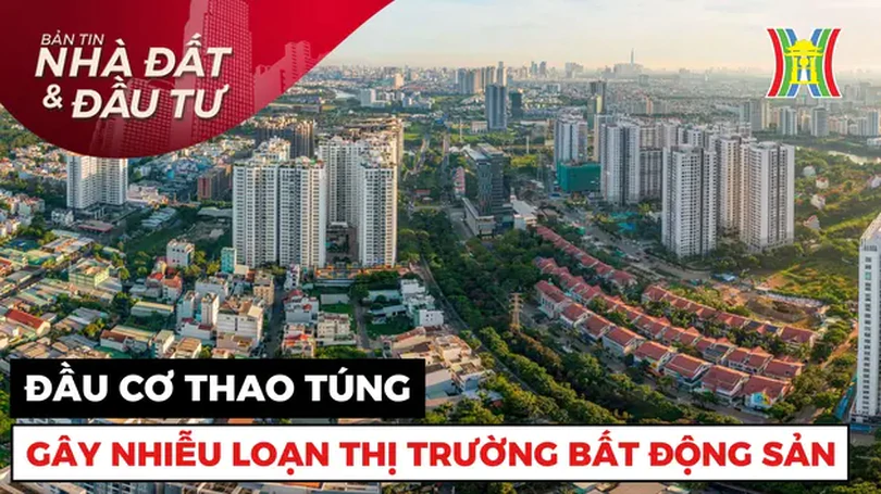 Bản tin Nhà đất và đầu tư | 12/09/2024