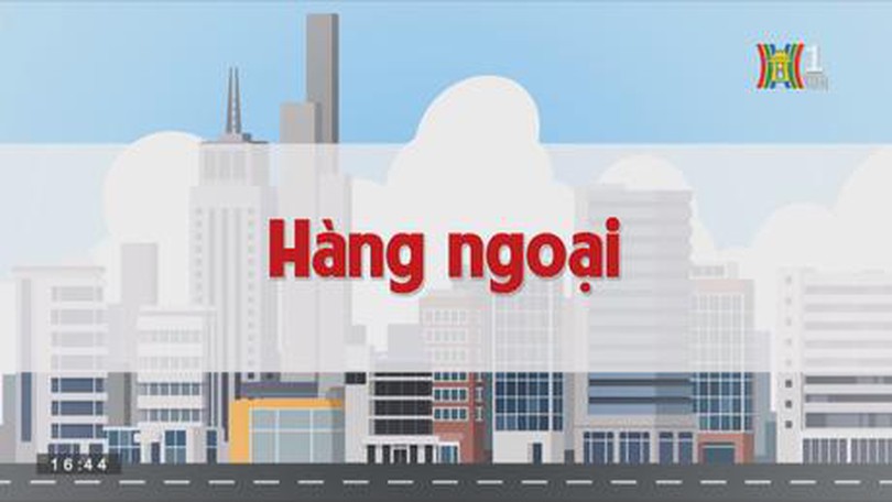 Hàng ngoại | Chuyện quanh ta | tập 174 | 12/10/2023