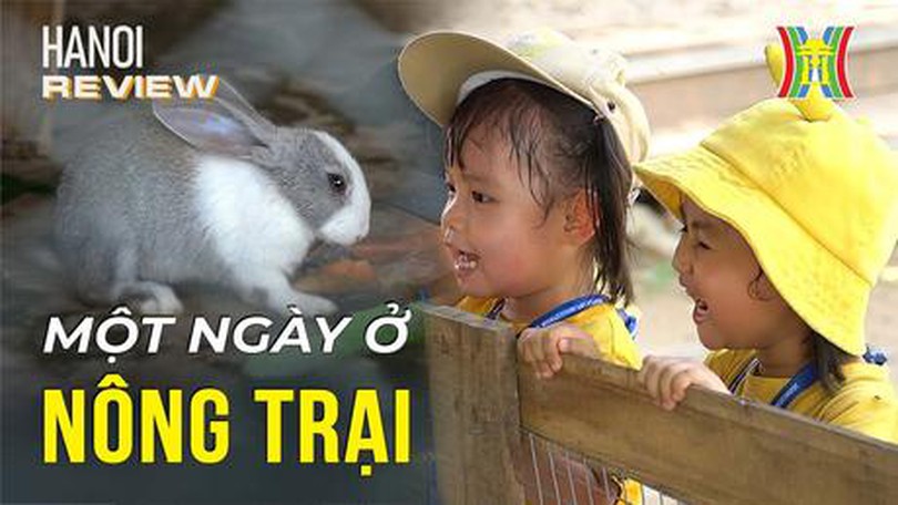 Cầm 50k thoả sức "nuôi cá và trồng thêm rau" ngay tại Hà Nội| Hanoi Review| 12/10/2023