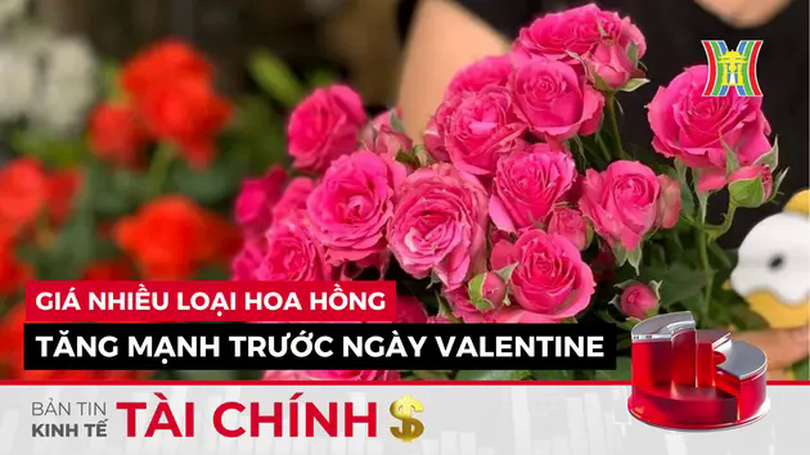 Bản tin Kinh tế Tài chính | 13/02/2025