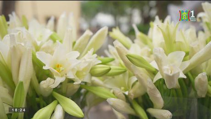 Hoa loa kèn tháng Tư