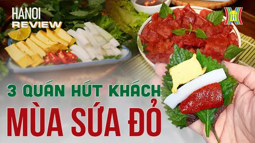 3 quán sứa đỏ nổi tiếng đất Hà Thành | HaNoi Review | 13/04/2024