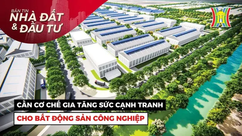 Bản tin Nhà đất và đầu tư | 13/07/2024