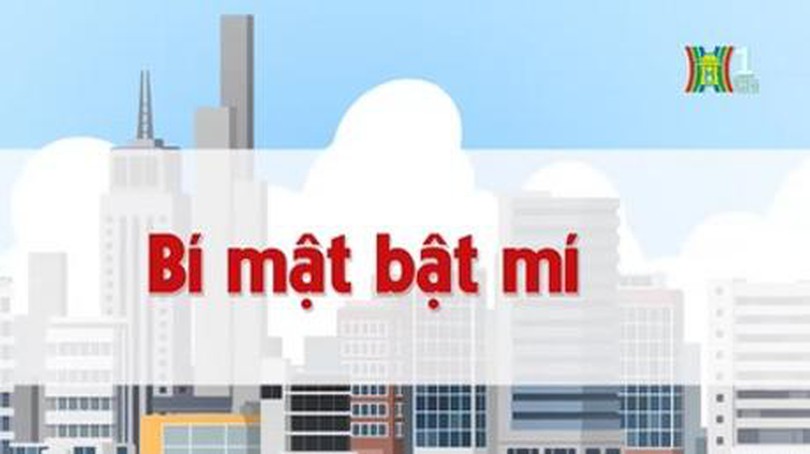 Bí mật bật mí | Chuyện quanh ta | tập 80 |12/08/2023