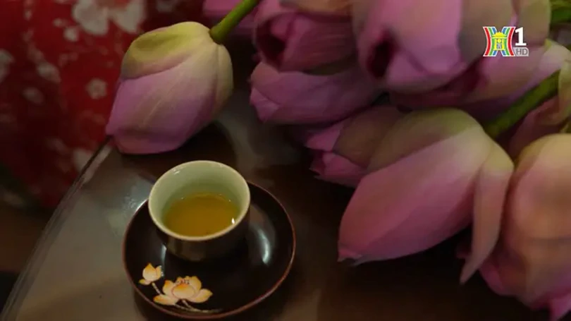 Trà sen hồ Tây, thức uống thanh tao của người Hà Nội