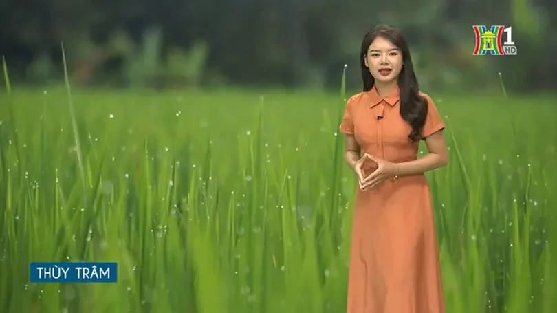 Dự báo thời tiết | 14/07/2024