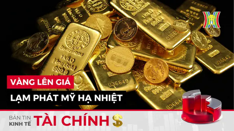 Bản tin Kinh tế Tài chính | 15/01/2025