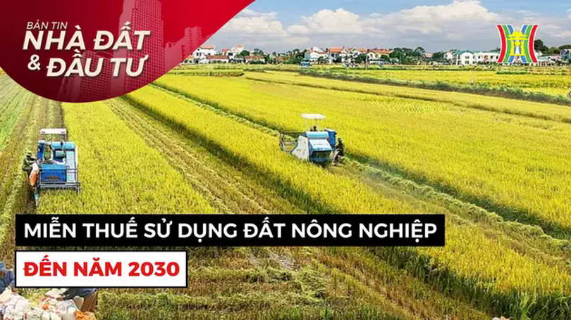 Bản tin Nhà đất và đầu tư | 15/04/2025