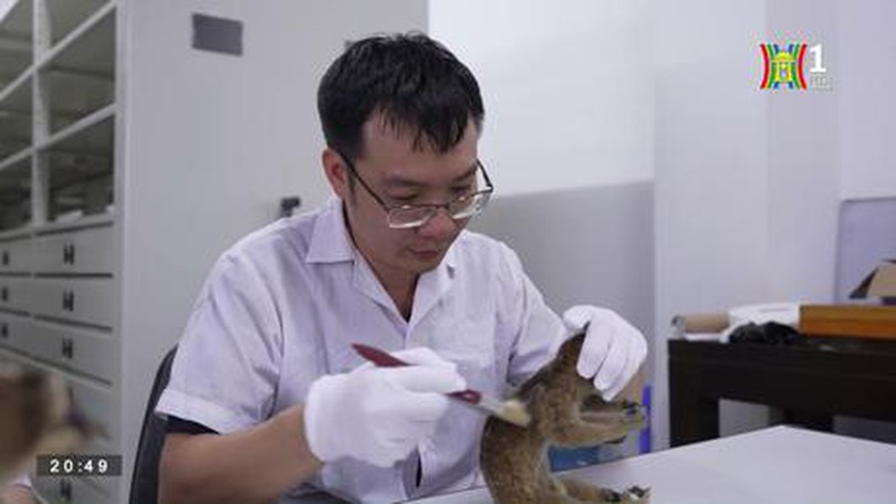 Những người gìn giữ hiện vật lịch sử