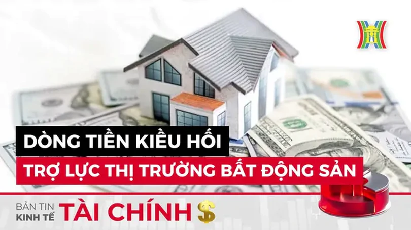 Bản tin Kinh tế Tài chính | 15/07/2024