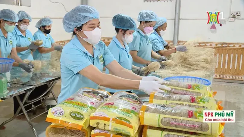 Sản xuất miến trong bối cảnh đô thị hóa | Nông nghiệp đô thị | 15/09/2024