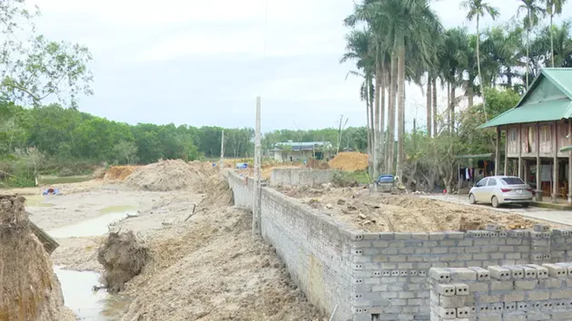 Đất dự án Đại học Quốc gia bị san gạt, lấn chiếm