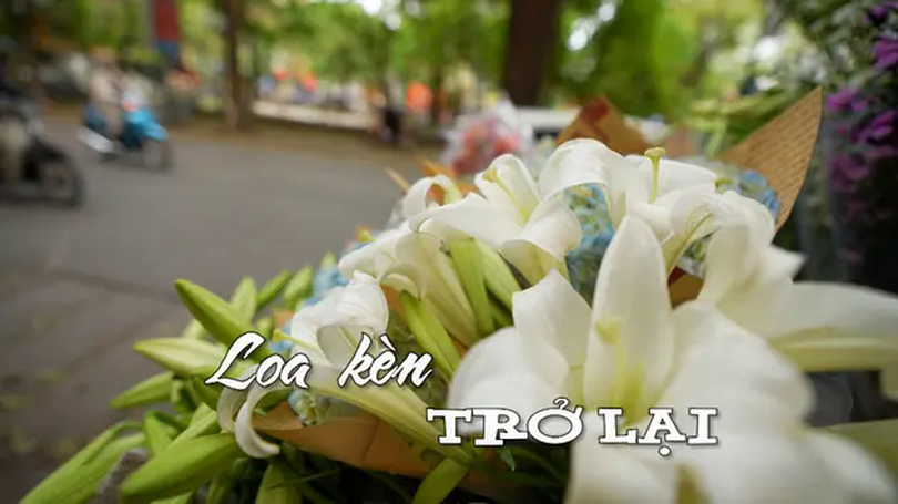 Loa kèn trở lại | Nhịp sống Hà Nội | 16/04/2025