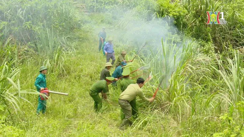 Tăng cường PCCC rừng mùa nắng nóng | An toàn Phòng cháy & Chữa cháy | 16/06/2024