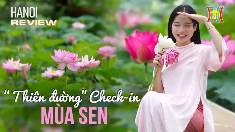 'Thiên đường' check-in mùa sen nở | HANOI Review | 16/06/2024