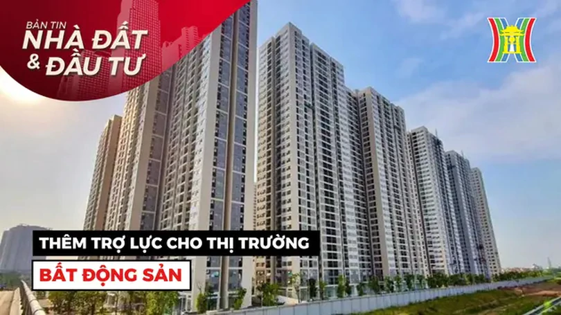 Bản tin Nhà đất và đầu tư | 16/07/2024