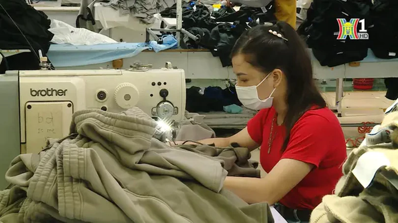 Sản xuất xanh trong doanh nghiệp ngành may | Tiết kiệm năng lượng | 10/09/2024