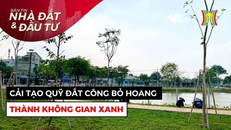 Bản tin Nhà đất và đầu tư | 18/01/2025