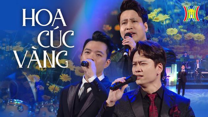 Hoa cúc vàng