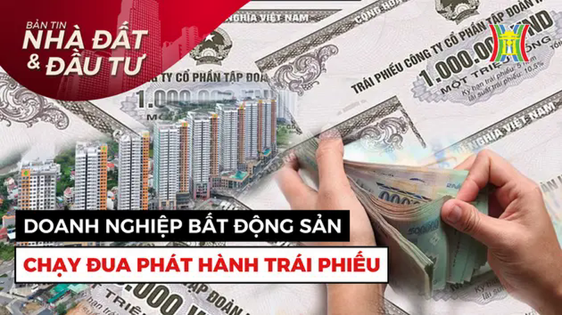 Bản tin Nhà đất và đầu tư | 19/01/2025