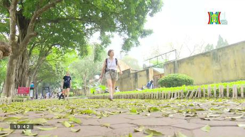 Vẻ đẹp của Hà Nội khi giao mùa